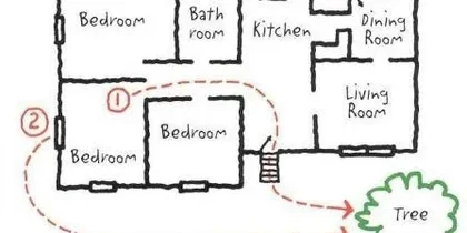 rs=w-600,h-300,cg-true