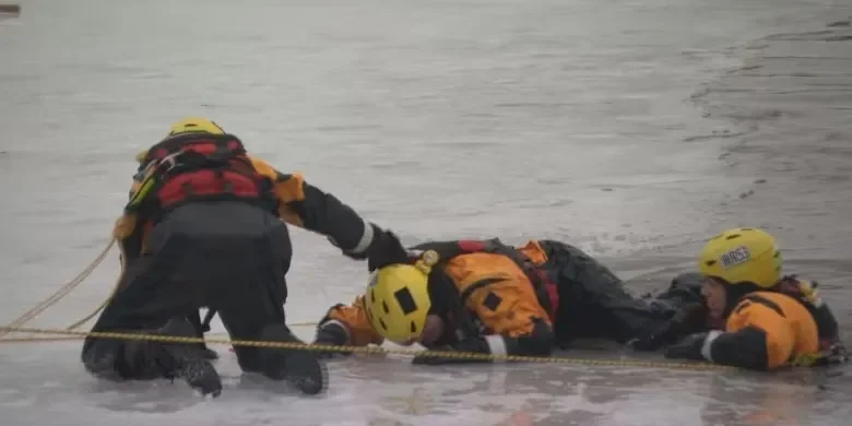 rs=w-780,h-390,cg-true